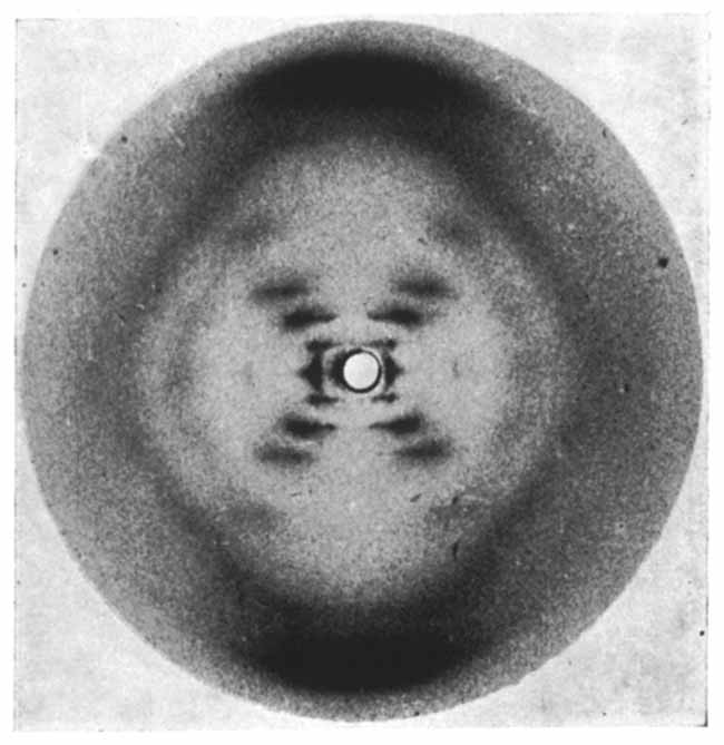 rosalind-franklin-06