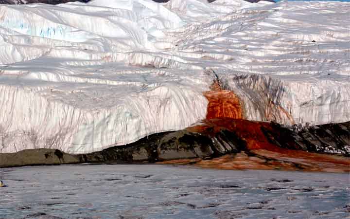 ปริศนาน้ำตก “สีเลือด” ที่แอนตาร์กติกาแท้จริงมาจากจุลินทรีย์ใต้ธารน้ำแข็ง